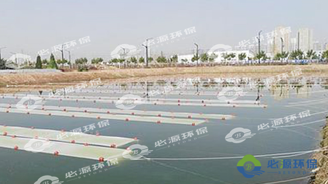 河北雄安新區納污坑塘/黑臭水體治理項目案例